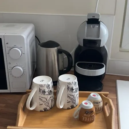 Apartment Bel Appartement-t3 Lumineux Dijon