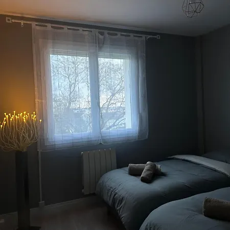 Bel Appartement-t3 Lumineux * Dijon