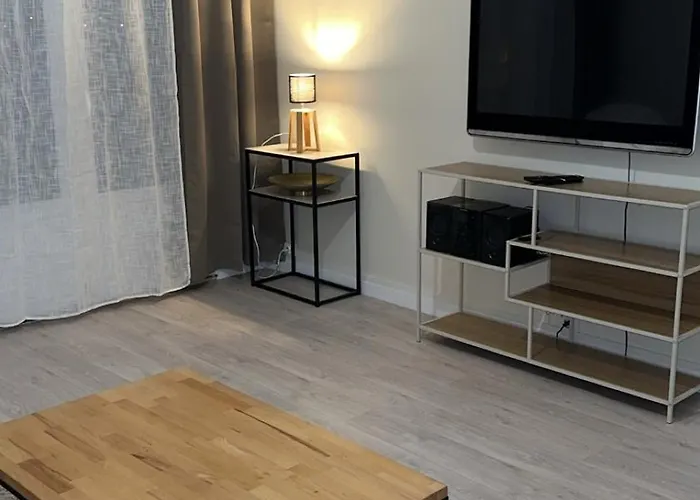 Appartement Bel Appartement-t3 Lumineux Dijon