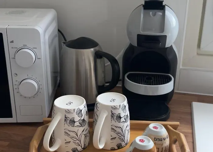 Appartement Bel Appartement-t3 Lumineux Dijon