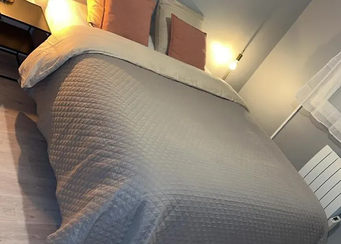 Bel Appartement-t3 Lumineux