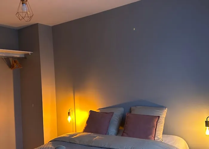 Appartement Bel Appartement-t3 Lumineux Dijon