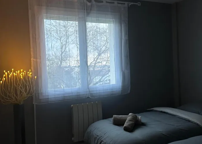 Bel Appartement-t3 Lumineux * Dijon